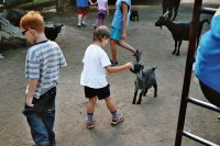 zobraz "imm015 (800 x 533)"