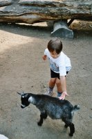 zobraz "imm016 (533 x 800)"