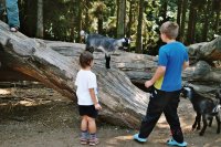 zobraz "imm017 (800 x 533)"