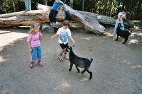 zobraz "imm018 (800 x 533)"