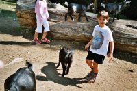 zobraz "imm022 (800 x 533)"