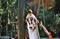 zobraz "imm025 (800 x 533)"