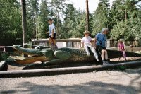 zobraz "imm030 (800 x 533)"